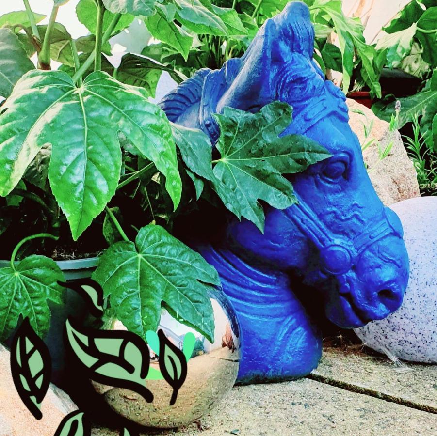 The New Blue Horse Suite At The Grumpy Schnauzer B&B Luxury Private Indoor Hot Tub Breakfast In Bed Airdrie Eksteriør bilde